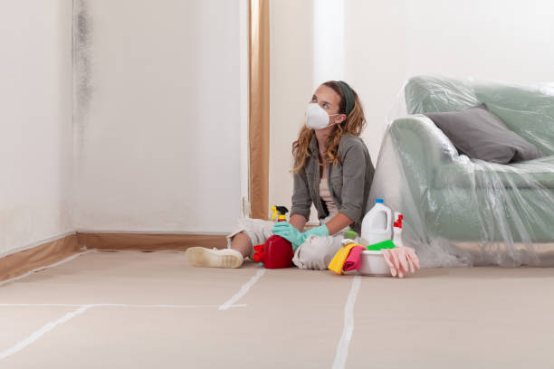 Reliable Mold Remediation contractor in Michigan, MI by 24 Hour Mold Removal